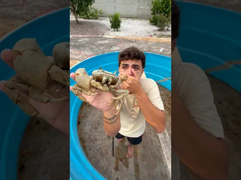 TEM UM BICHO NA MINHA PISCINA!🦀 #shorts