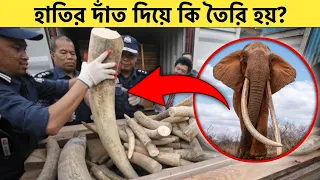 হাতির দাঁতের দাম এত বেশি হয় কেন | হাতির দাঁত দিয়ে কি তৈরি হয় | By Master Facts Bangla