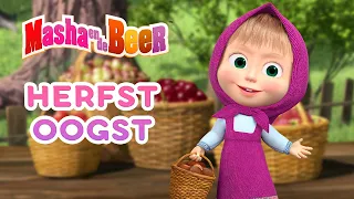 Masha en de Beer 👱‍♀️🐻 Herfst oogst 🍂 Aflevering collectie