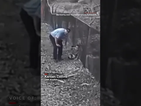 Train conductor spots 3-year-old boy on tracks