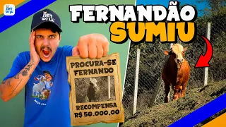 MEU BOI ESTA DESAPARECIDO * alguem r0ub0u ele??