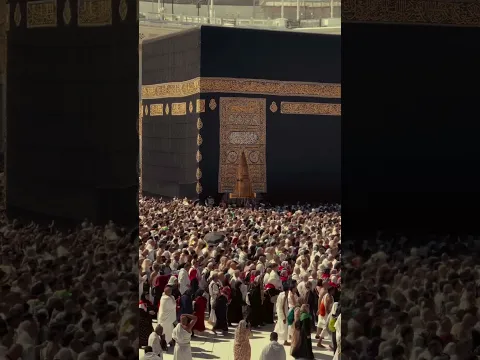 Masha, Allah makkah live madina live#makkah #madina #shorts #hajjlive #shortvideo #mecca #duet