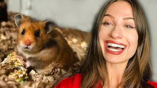 KONEČNE MÁM ŠKREČKA🐹