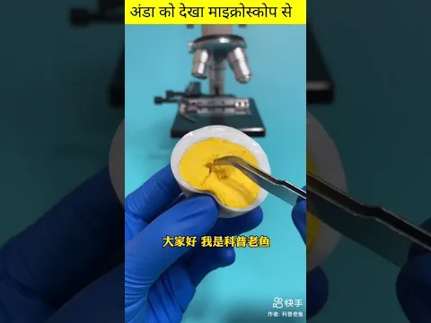 अंडा के अंदर पीले वाले भाग को दिखा माइक्रोस्कोप से #fact #short