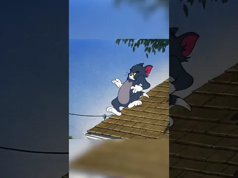 Flying Seal and Crashing Tom #TomandJerry #ClassicCartoons #Cartoonito #shorts