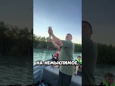 Метнул рыбу в небо и вы не поверите что было дальше #shorts