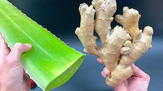 🔥Naturalna BOMBA 🍋🍯 150 razy silniejsza niż czosnek i cytryna! Zniszczenie wszystkich bakterii!