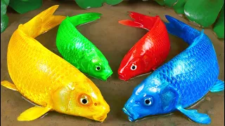 Stop Motion Experiment ASMR | Colorful KOI Fish Trap Catfish With Scorpions Cooking Under Primer Mud