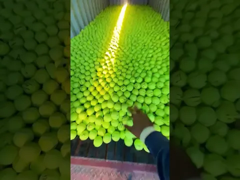 Indian Tennis Balls lighthouse sa