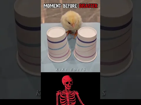 #aestheic