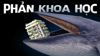 #1059 Cá Voi Xanh Quá VÔ LÝ - Tại Sao Chúng Vẫn Tồn Tại?
