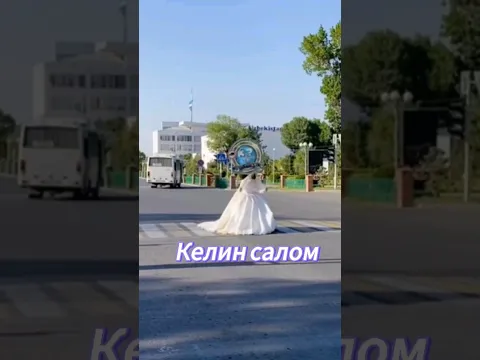 🧖🏻‍♀🛣 Гулистонда йўлнинг ўртасида ҳайдовчиларга "Келин саломи" берилибди 🤦🏻‍♂😂 #Sirdaryo #Guliston