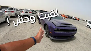 لقيت وحش امريكي بمكان غير متوقع ! | شو ممكن تلاقي في كوبارت دبي !
