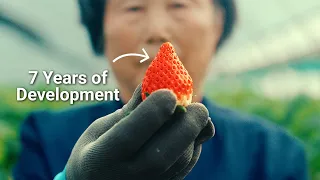 A Private Tour of Korea's Most Cherished Foods (Documentary)