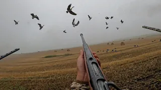 Single Shot Bolt Action 20 Gauge Goose Hunt! (65 Honkers Down)