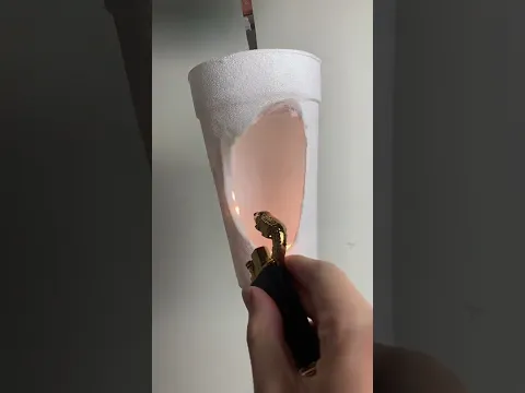 Lighter vs Styrofoam 🥤