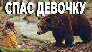 Медведь сбежал из зоопарка в лес и стал помогать людям