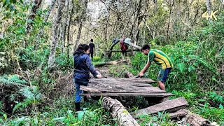 Relaxing nature, repairing wooden bridge in the middle of the forest to find a beautiful stream 4k