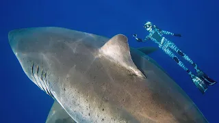 Shark safety tips to share with loved ones ❤️