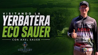Visitando la Yerbatera Eco Sauer con Axel Sauer | Así se produce una yerba mate de calidad