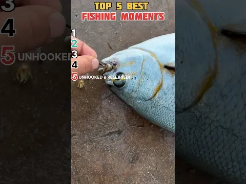 Top 5 Best Fishing Moments 🎣 #tiktok #best #fishing