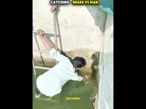 Epic Snake Catching Moment😲🐍