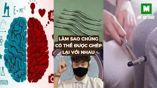 Làm sao chúng có thể ghép lại được với nhau #metrithuc