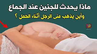 ستُصدم عندما تشاهد أين يذهب مَنى الرجل أثناء الحمل وماذا يحدث للجنين عند جماع الزوجين؟