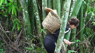 SOLO Camping On The Island cooking , Relaxing Satisfying ASMR