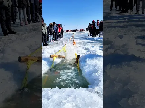 Chagan Lake winter fishing: Sticks on rope prevent slip, mark position, and stabilize net pulling