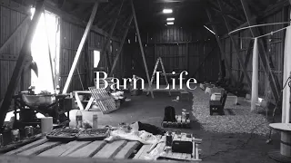 Barn life 2 @TheYukabrother