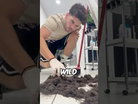 Barber Turned Hair Clippings Into a Masterpiece! 💀😱 (@giobarberr)