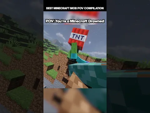 The Best Minecraft Mob POV's Zombie | Drowned | Husk | Warden