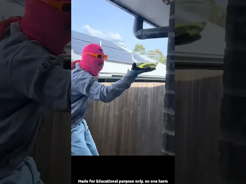 Wasp nest remove using gasoline