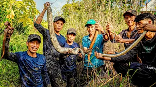 Về Tiền Giang Đào Hang Lươn Bắt Rắn Cùng Anh Em Team Gấc Quê