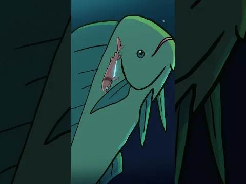Cookiecutter Shark 🍪🦈 #animation #original #cartoon