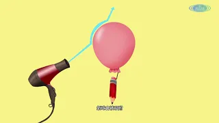 快閃科學 (16) 康達效應 #阿駿日常