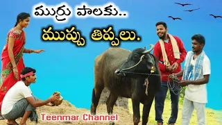 Murru palaku muppu tippalu//village milk problems//my village comedy//Teenmar channel